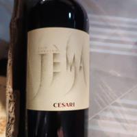 Vino rosso Jema 2016