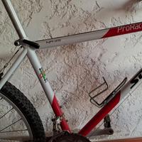 Mtb vintage Scapin