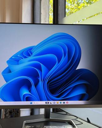 Monitor Hp