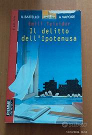Libro "Il delitto dell'Ipotenusa" - Emili Teixidor