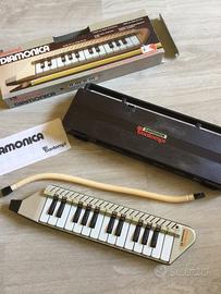 Diamonica “Bontempi “+ flauto e tamburello.