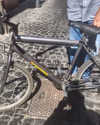 bicicletta per adulti
