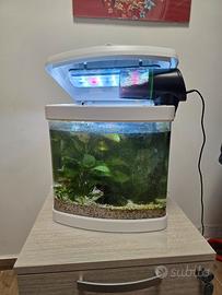 acquario 30lt