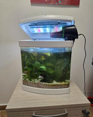 acquario 30lt