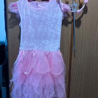 Costume Carnevale fatina rosa Trilli + accessori