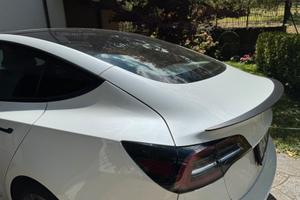 MODEL3 Dual Motor Long Range Performance AWD