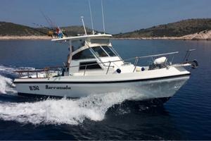 Fisherman Barracuda c24