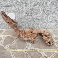 Radice, legno naturale per terrari, acquari..