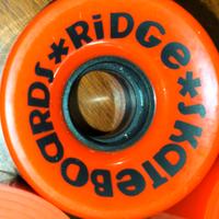 4 Ruote da Skateboard Ridge Skateboard