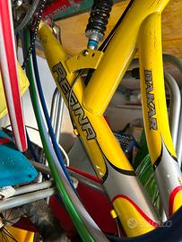Bici regina