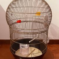 gabbia per papagalli