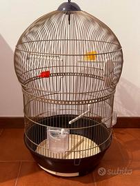 gabbia per papagalli