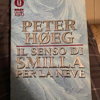 Il senso di Smilla per la neve