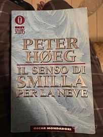 Il senso di Smilla per la neve