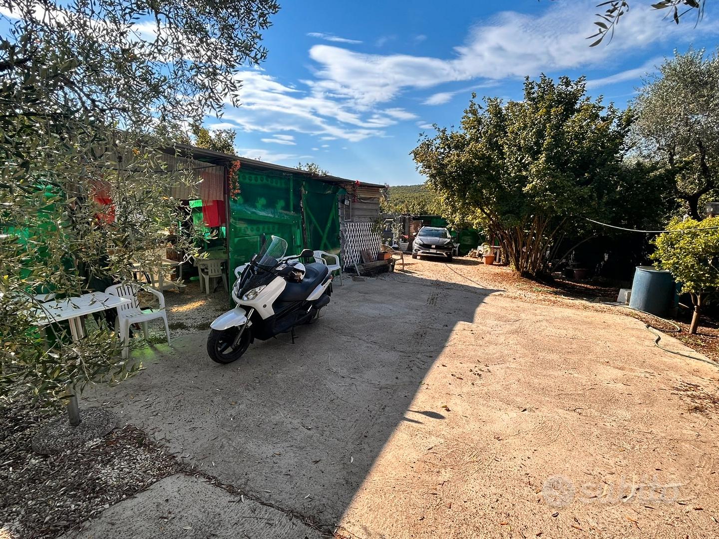 Terreno 6.400 mq - pozzo -200 nocciole + olivi - Vista 4