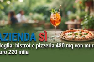 Bar pizzeria con struttura compresa