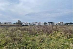 Terreno di 10000 m² a Cellole