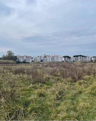 Terreno di 10000 m² a Cellole