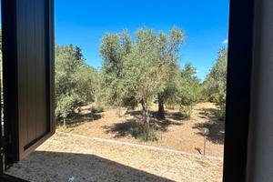 Zona San Giovanni indipendente con terreno