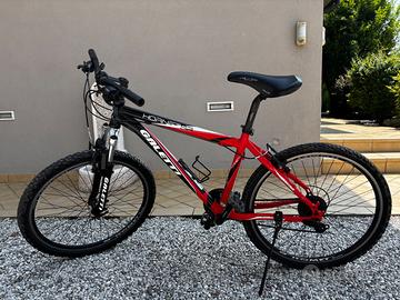 Coppia Mountain Bike