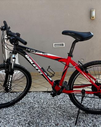 Coppia Mountain Bike