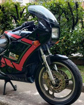 YAMAHA RD 350   1990