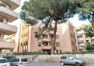 MONOLOCALE A CIAMPINO