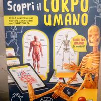 Gioco educativo – conoscenza del corpo