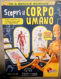 Gioco educativo – conoscenza del corpo