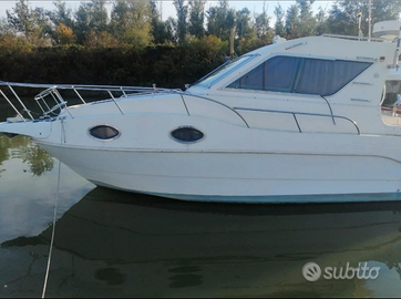 Saver marea 29