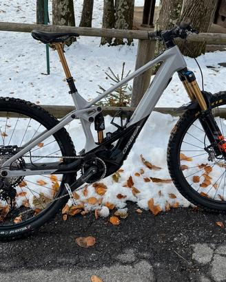 Orbea wild M team