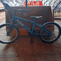 Lotto biciclette bambino