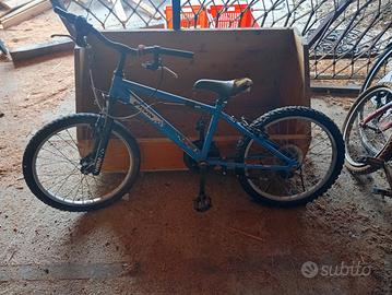 Lotto biciclette bambino