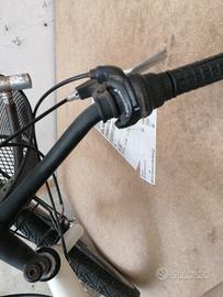 bici perfetta per passeggiate 