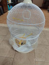 Gabbia per uccelli ferplast 
