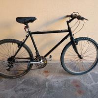 Bicicletta Mountain bike 