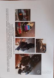 scooter  an Burgman 400