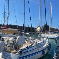 Barca a Vela Zuanelli 34