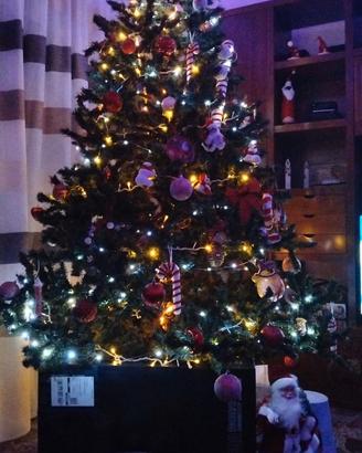 Albero di natale