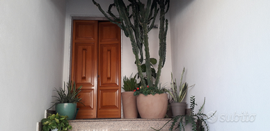 Splendido appartamento