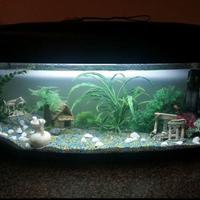acquario