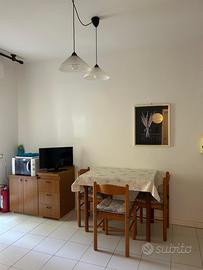 Bilocale con ampie terrazze - Marina di Bibbona