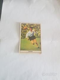 Figurina Gianni Rivera ed.Stella 65/66