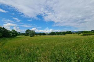 TER. AGRICOLO A BESANA IN BRIANZA