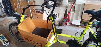 E-bike cargo