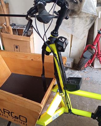 E-bike cargo