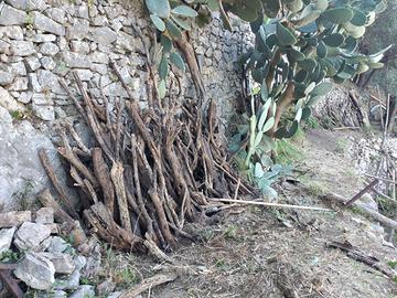 dare legno d'ulivo  per caminetti o forni