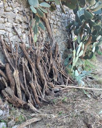 dare legno d'ulivo  per caminetti o forni
