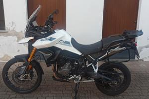  Triumph Tiger 900 Rally