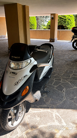Kymco dink50